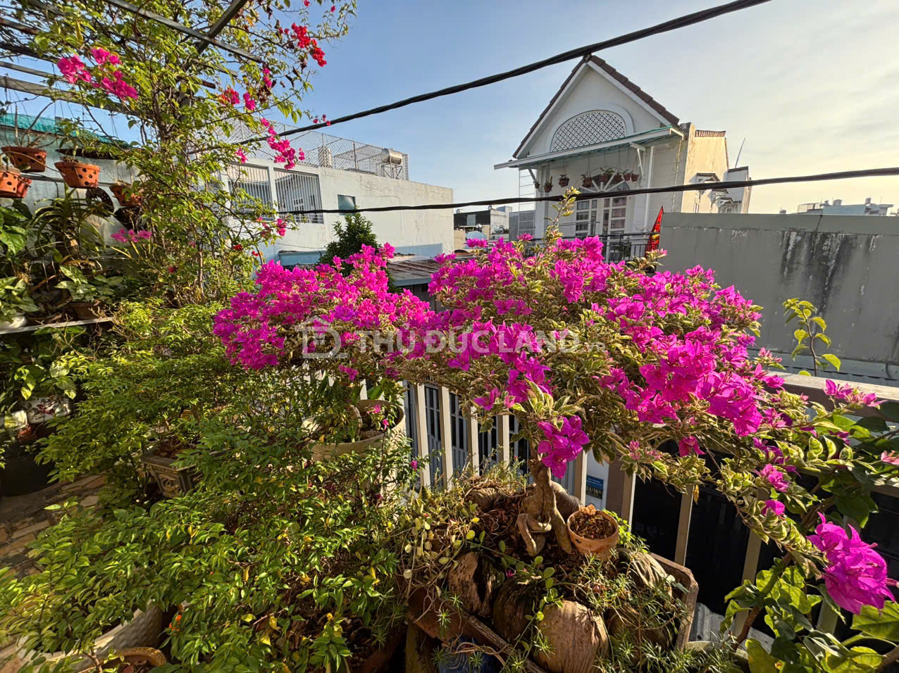 Bán nhà Tăng Nhơn Phú B, 1 tầng, 98.4 m², sổ hồng riêng - Ảnh 9
