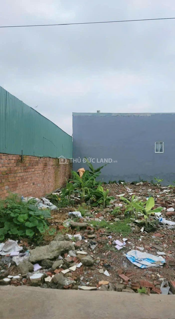 Bán đất HXH Đường 42 Hiệp Bình Chánh, 51.1m², ngang 4m, tiện ích đầy đủ