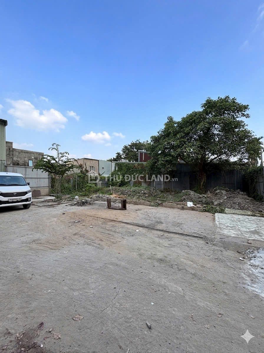 Bán đất hẻm Hiệp Bình Chánh – Đường 42, ngang 4m, hẻm oto, diện tích 74.9m² phù hợp ở gia đình - Ảnh 5