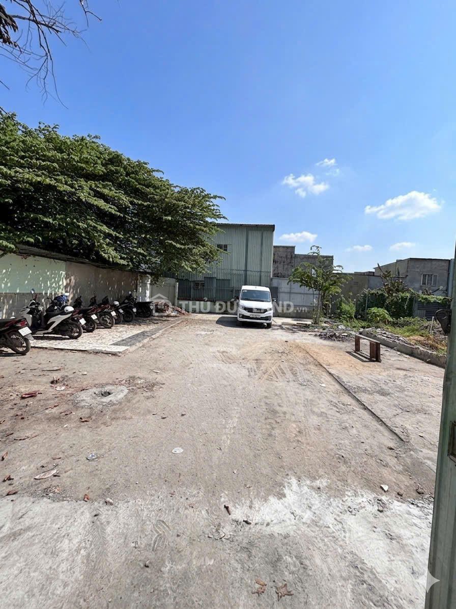 Bán đất hẻm Hiệp Bình Chánh – Đường 42, ngang 4m, hẻm oto, diện tích 74.9m² phù hợp ở gia đình - Ảnh 6