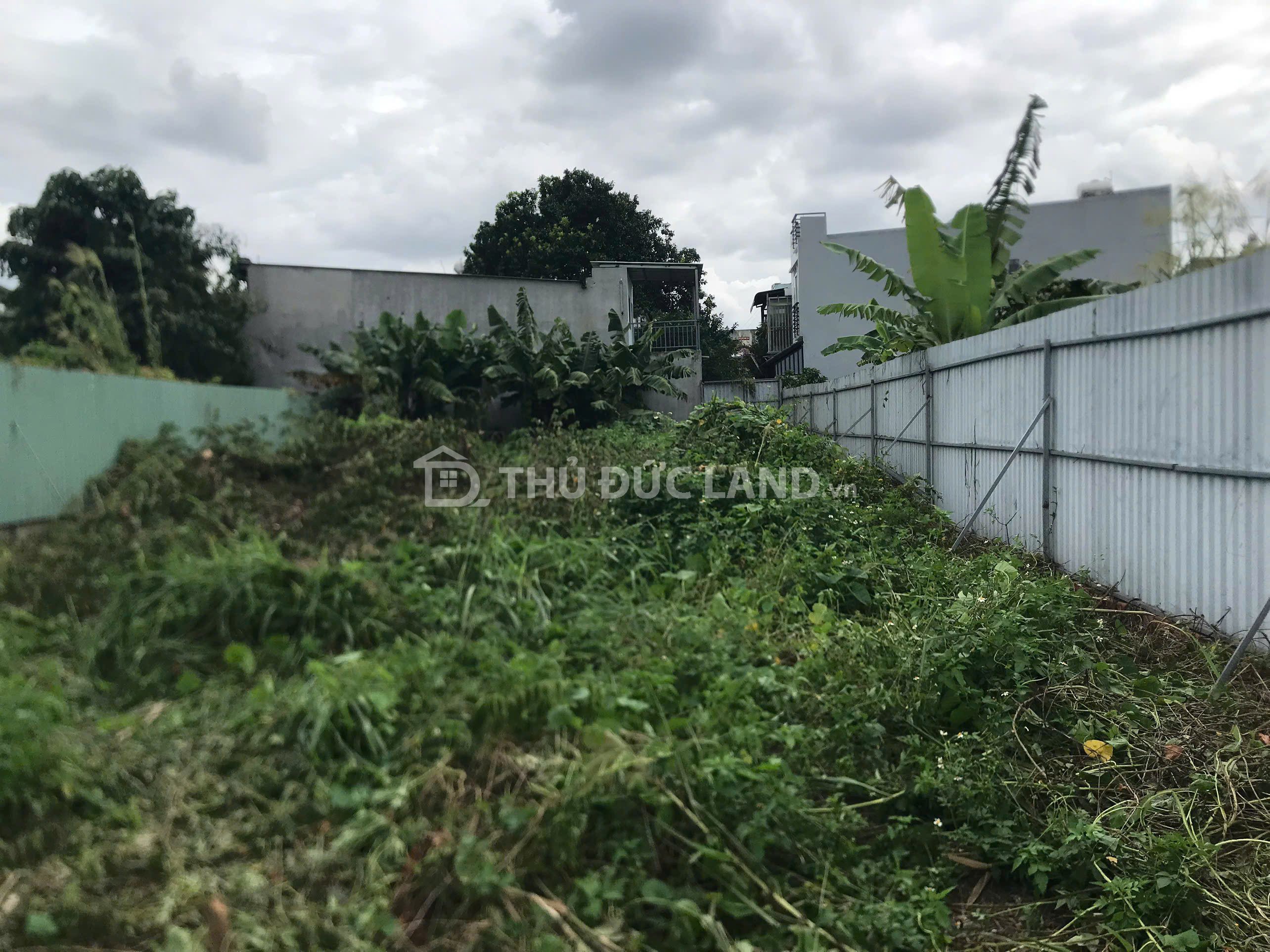 Bán đất hẻm Hiệp Bình Chánh, đường 4m, 212.8m² (5.6x37.m) – giá ~40 triệu/m²