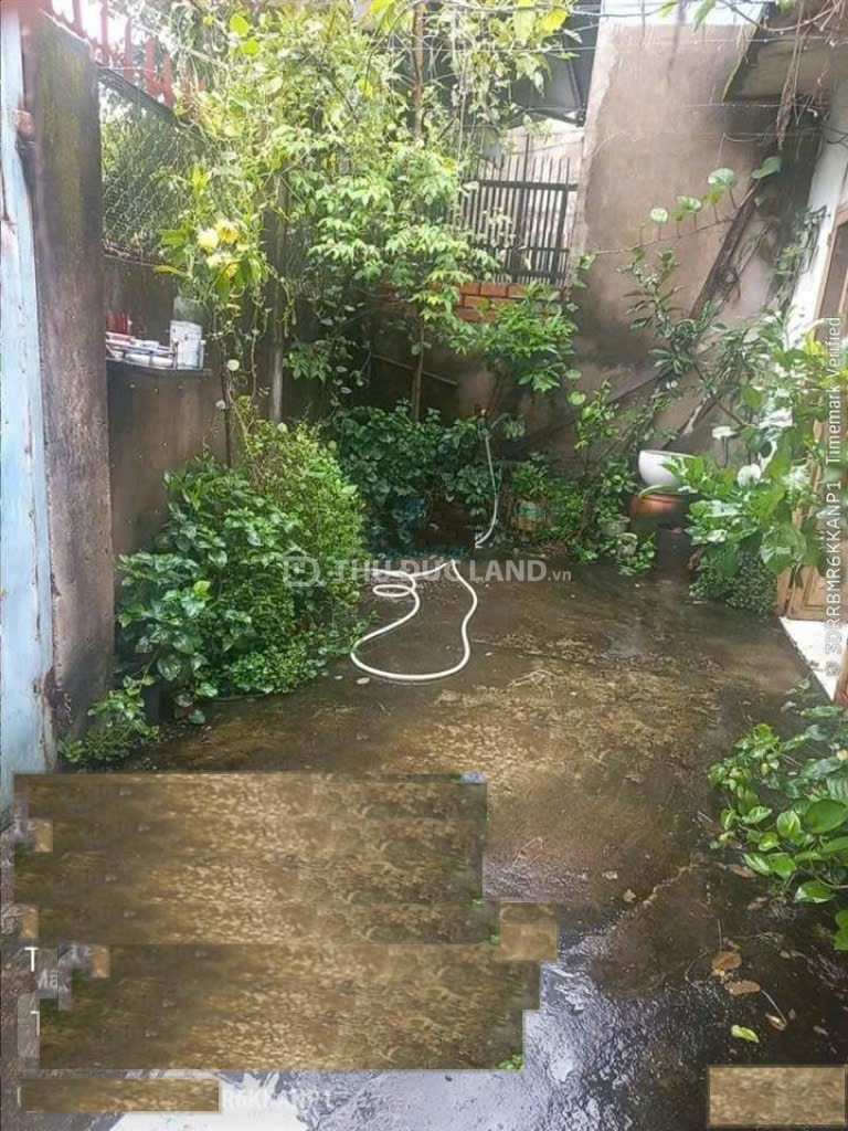 Bán nhà hẻm Đường 45, Hiệp Bình Chánh, DT 133m2 ngang 8.16m, sổ hồng riêng - Ảnh 2