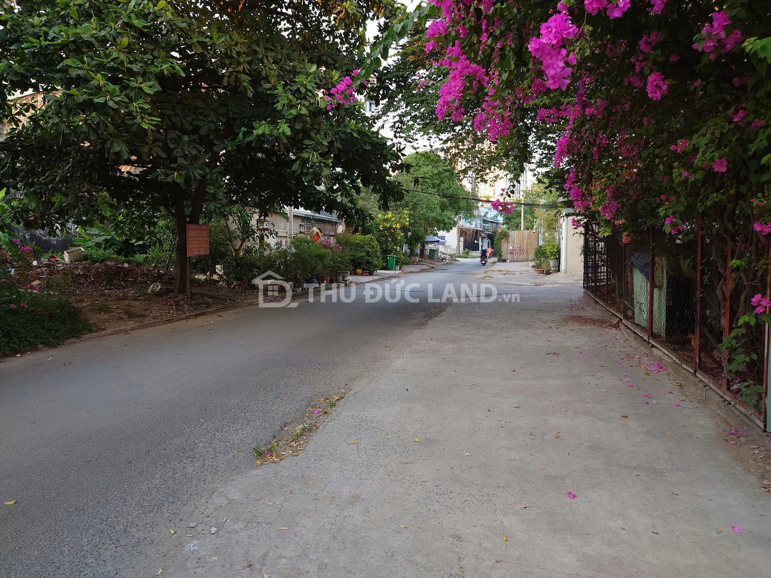 Bán nhà Hiệp Bình Chánh đường 27, hẻm xe hơi 13.5m, ngang 9.5m. Tiện ích đầy đủ, cạnh sống mát mẻ - Ảnh 4