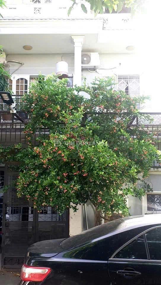 Nhà hẻm Đường 23, Hiệp Bình Chánh