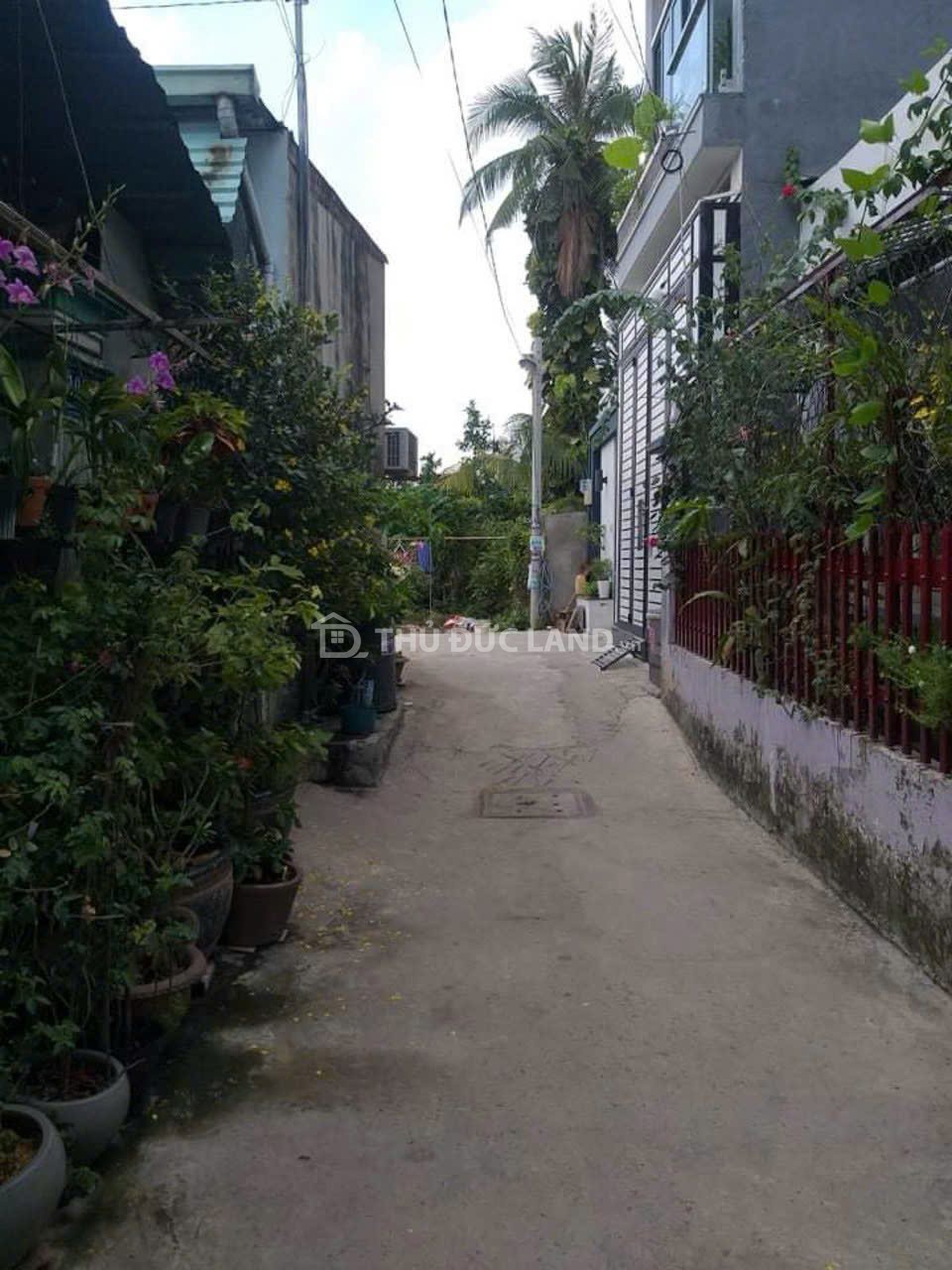 Đường 52, Hiệp Bình Chánh - Ảnh 2