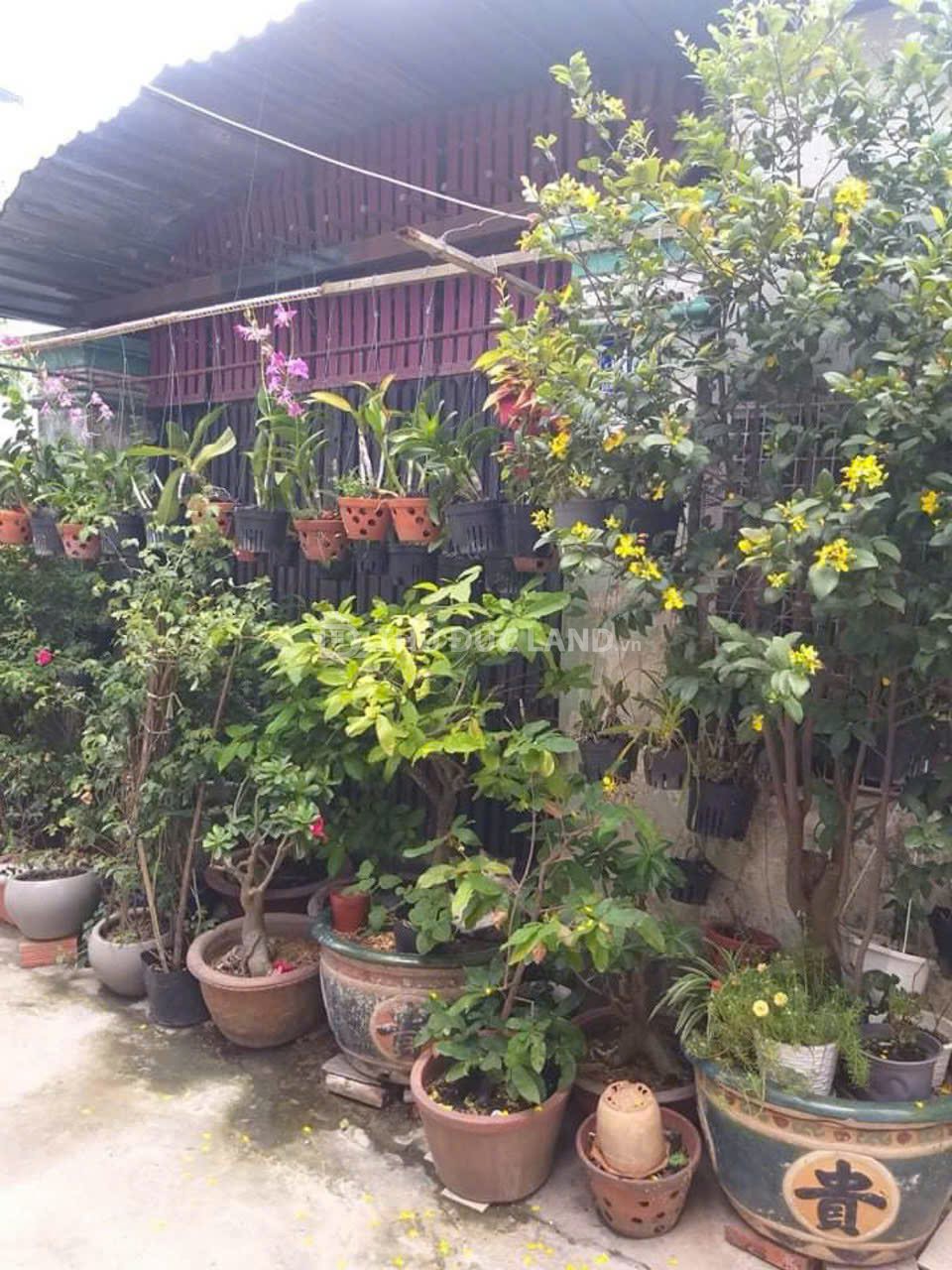 Đường 52, Hiệp Bình Chánh