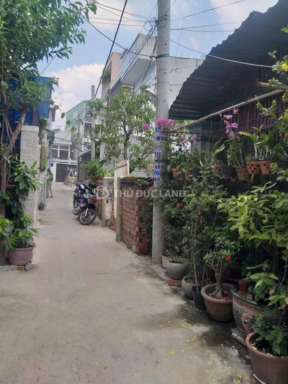 Đường 52, Hiệp Bình Chánh - Ảnh 5