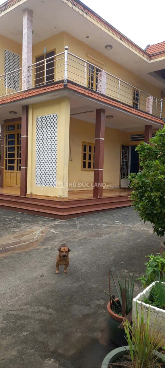 Bán nhà hẻm đường 1, Hiệp Bình Phước (Thủ Đức) – KDC đông, diện tích 283.6m² phù hợp gia đình ở - Ảnh 6
