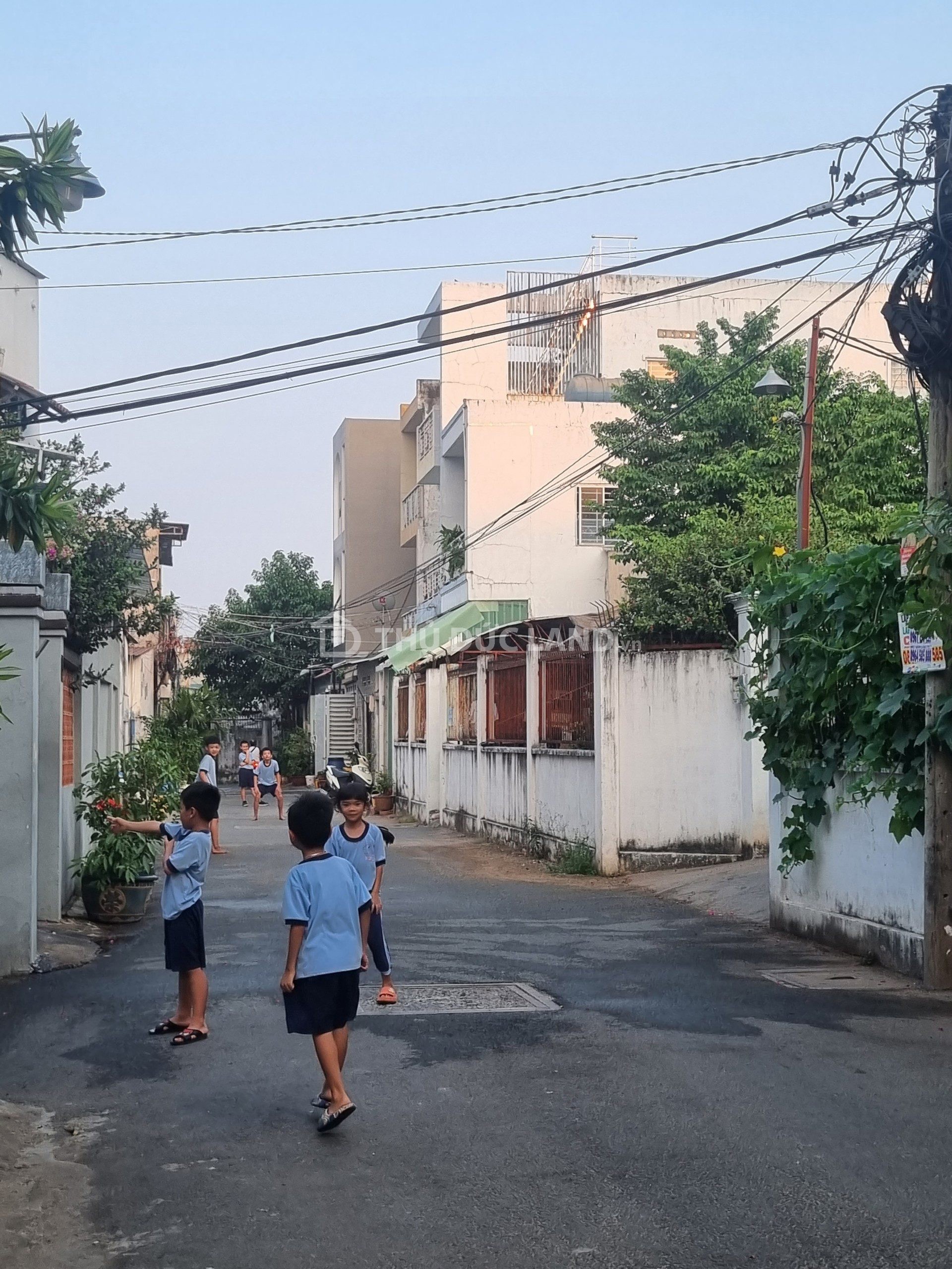 Bán đấthẻm Tân Hòa 2, Hiệp Phú (Quận 9) – Lô đất 5m x 16.2m, hẻm ô tô 6m, Sổ hồng riêng - Ảnh 2