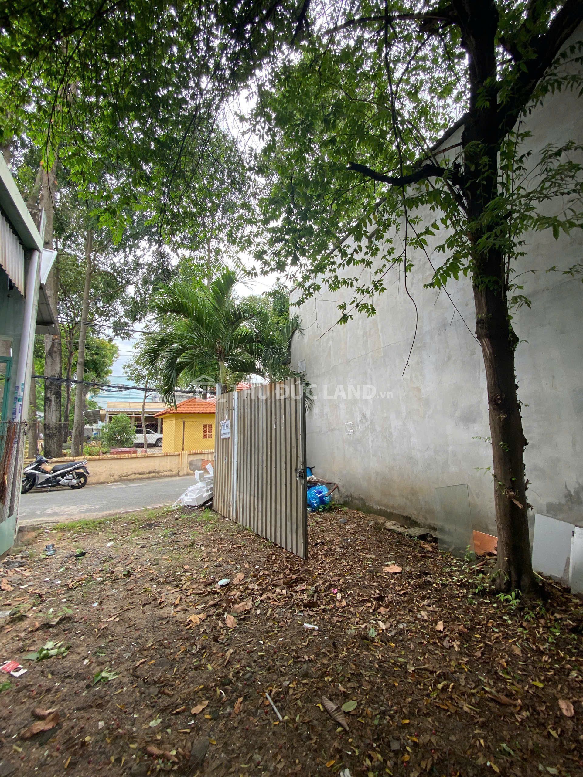 Bán đấthẻm Tân Hòa 2, Hiệp Phú (Quận 9) – Lô đất 5m x 16.2m, hẻm ô tô 6m, Sổ hồng riêng - Ảnh 3