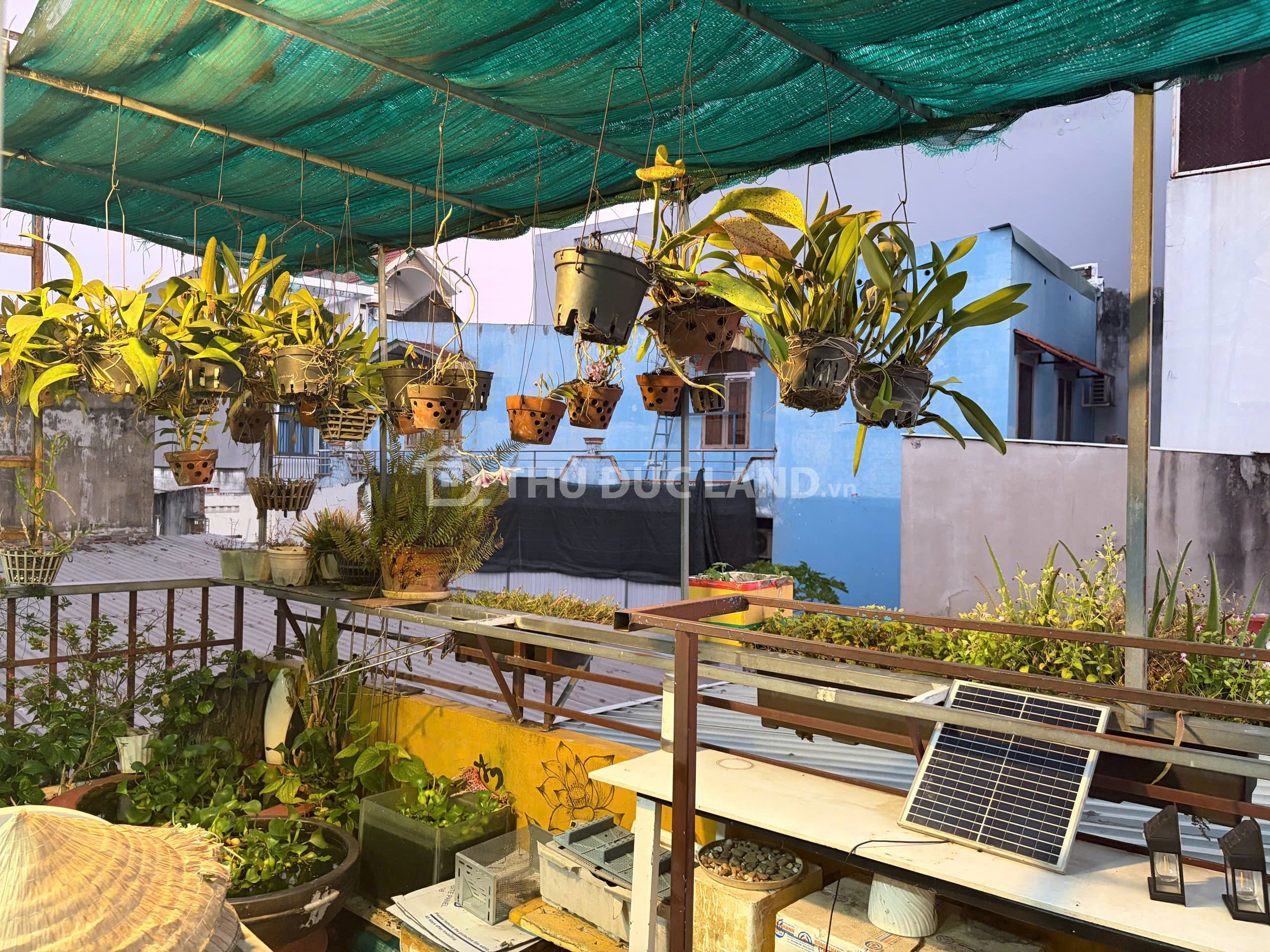 Bán nhà mặt tiền Hiệp Phú đường Tân Hoà 2, DT 289m2 ngang 11m, cách ngã 4 Thủ Đức 300M - Ảnh 11