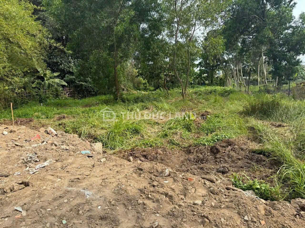 Bán đất HXH Đường 32 Linh Đông, ngang 19.5m, 2143.5m². Hợp xây CHDV, khách sạn, phân lô.