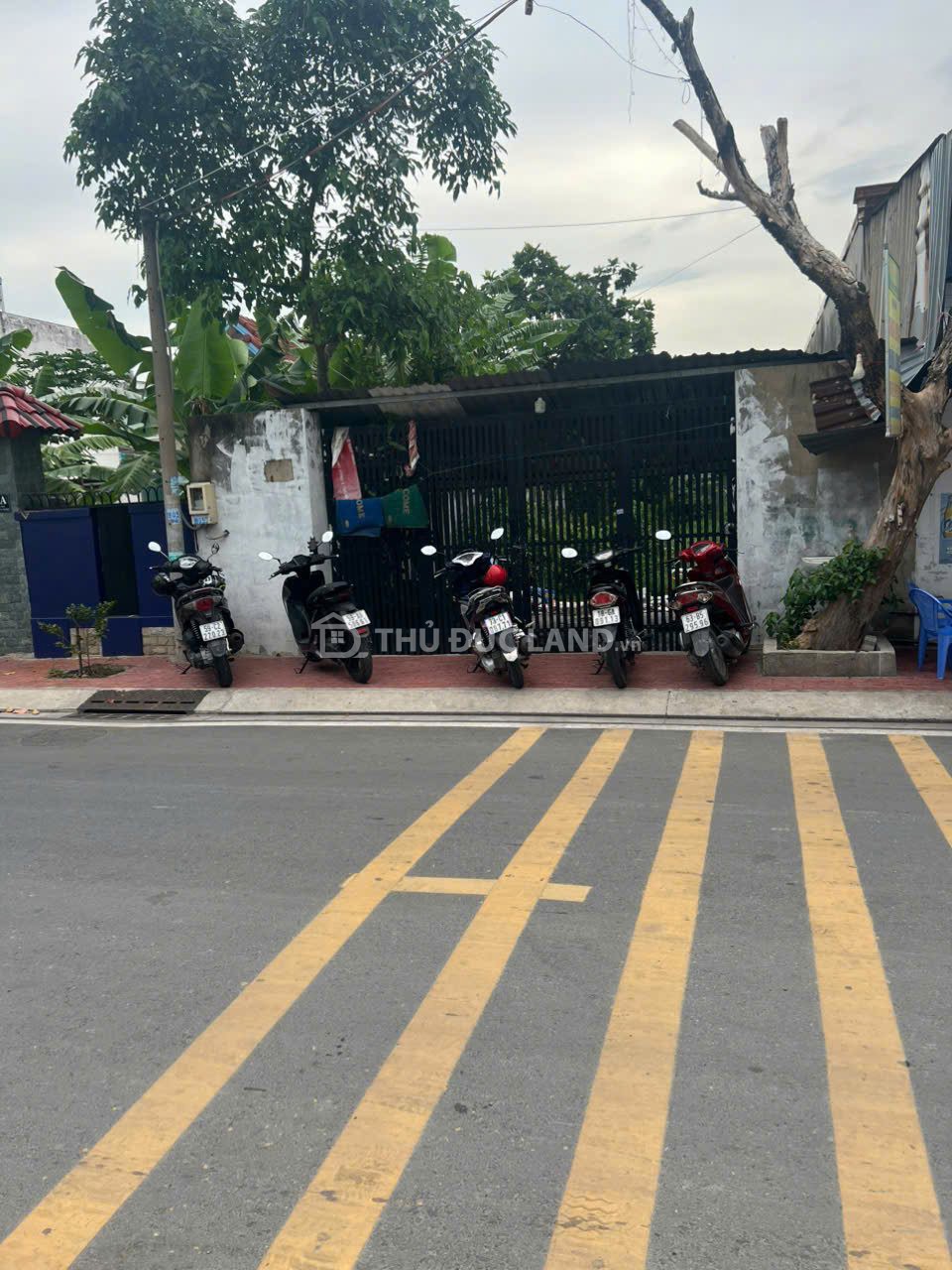 Bán đất mặt tiền Đường 24 Linh Đông, DT 267m2 ngang 7m, đường 8m, hợp xây CHDV hoặc tòa nhà