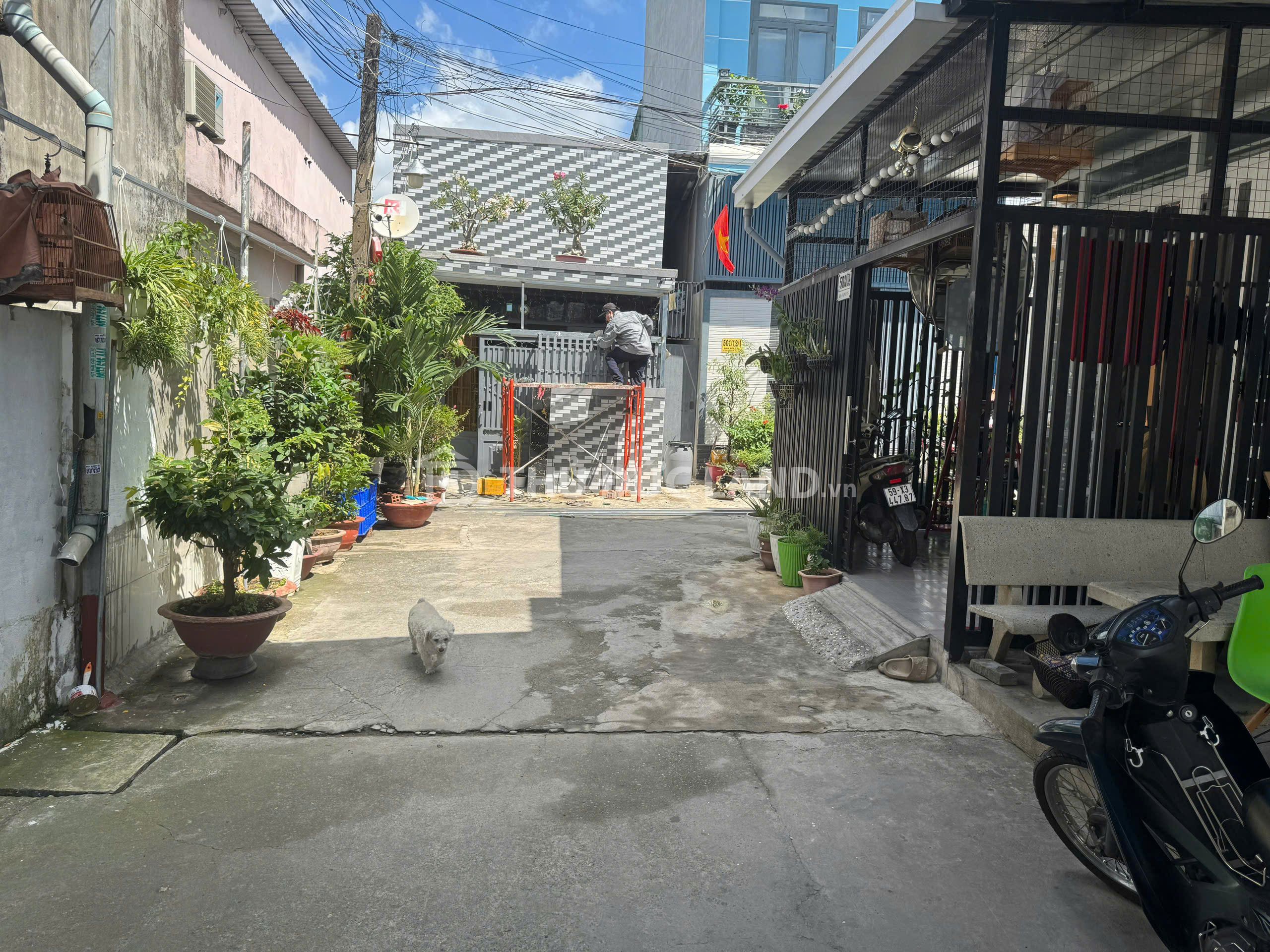 Bán phòngtrọ Linh Đông, Kha Vạn Cân, DT 310m2 ngang 8m, dòng tiền 40 triệu/tháng, tiện ích đầy đủ - Ảnh 5
