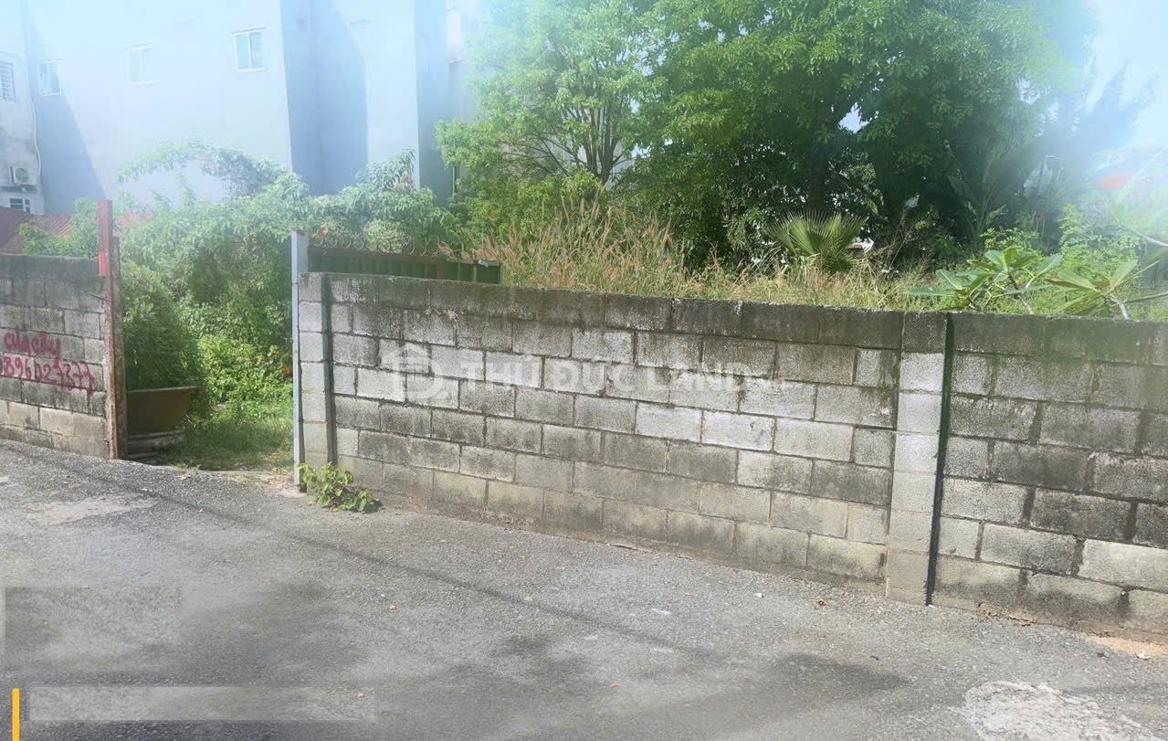 Bán đất hẻm Linh Xuân, Đường 8, hẻm xe hơi, 16.39x46.3 (758.7m²) – Giá thỏa thuận