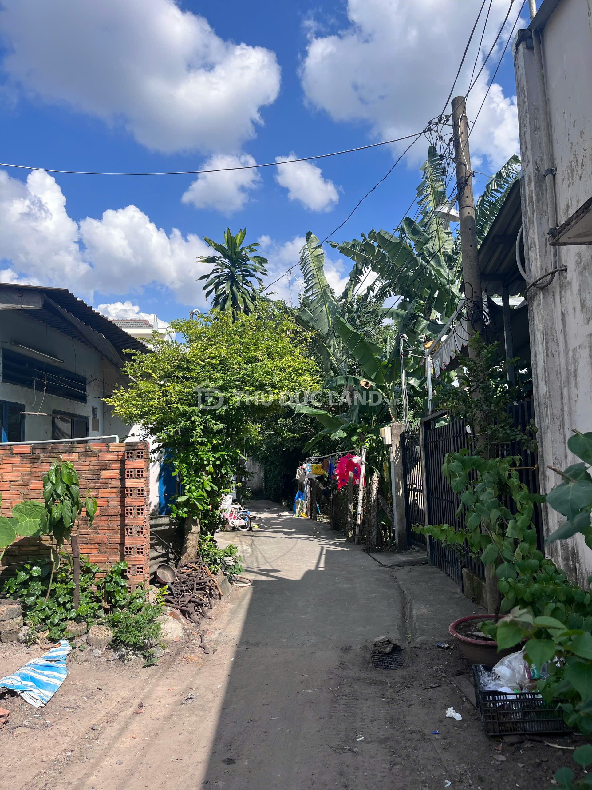 Bán đất hẻm Đường 1 Linh Xuân, ngang 10.8m, 200m², sổ hồng riêng. Hàng đầu tư, tiện ích đầy đủ 1km - Ảnh 4