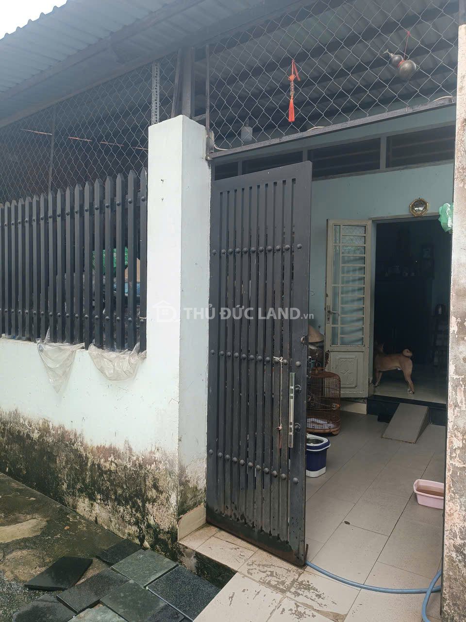 Bán nhà HXH Đường 8 Linh Xuân, ngang 5m dài 51.7m, 258.7m². Giá đầu tư chỉ 6 Tỷ - Ảnh 2