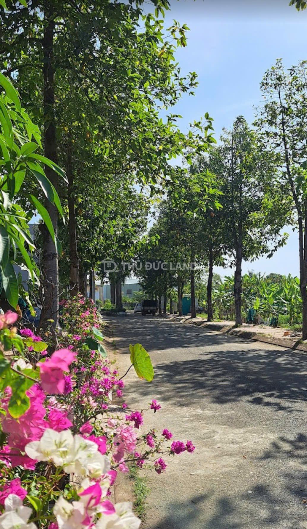 Bán đất KDC Thanh Niên Miền Nam - Bưng Ông Thoàn, Phú Hữu, đường 12m, ngang 5.75m, giá tốt - Ảnh 2