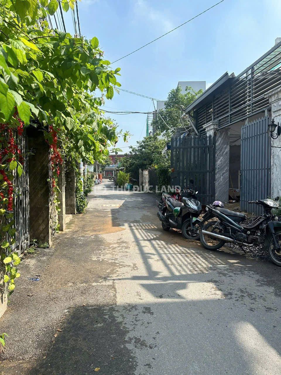 Bán đất mặt tiền Phú Hữu (đường 822) 92m², sổ hồng riêng – giá đầu tư - Ảnh 2
