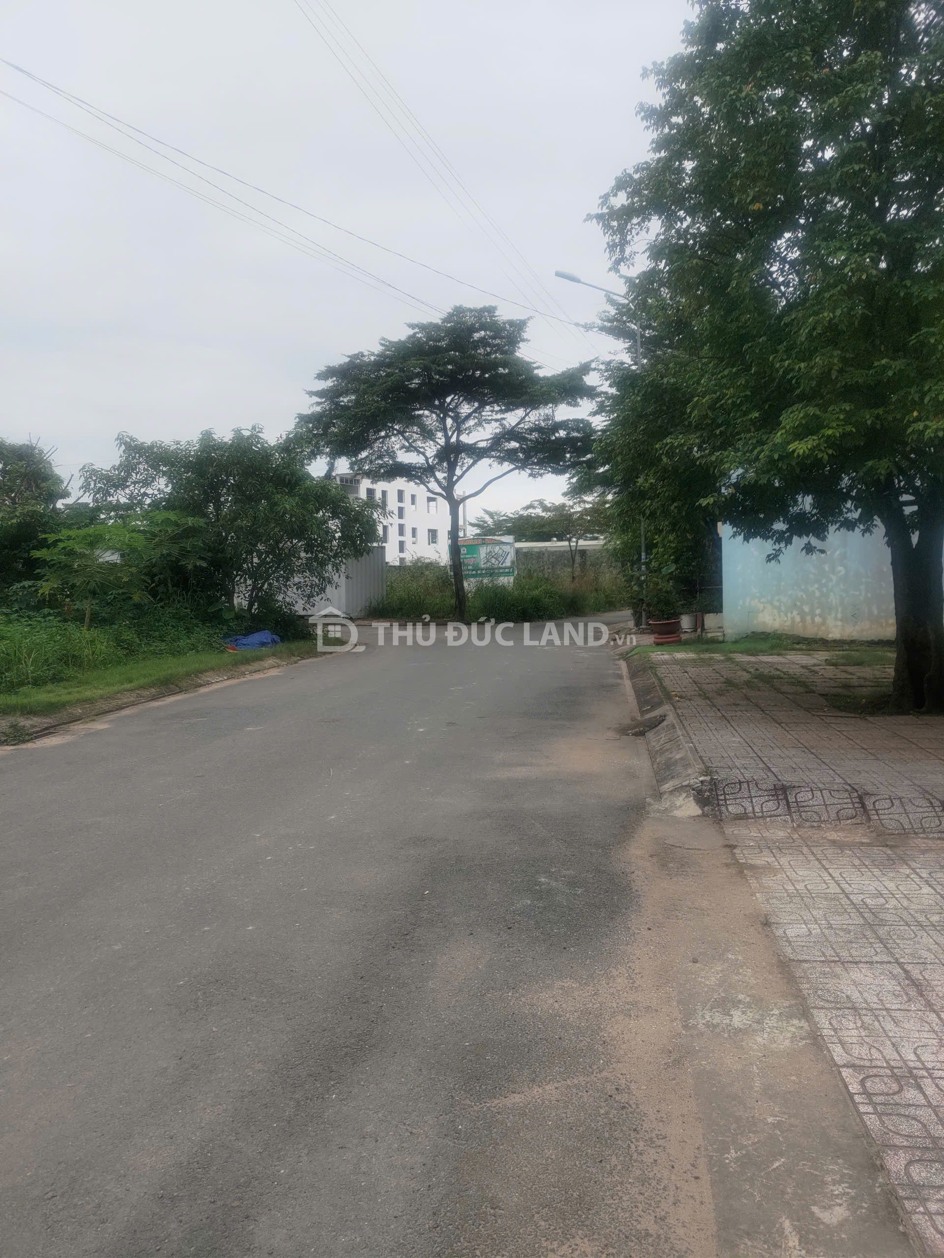 Bán đất mặt tiền Phú Hữu (đường B) 123m² ngang 6.7m sổ hồng riêng, tiện ích đầy đủ - Ảnh 3