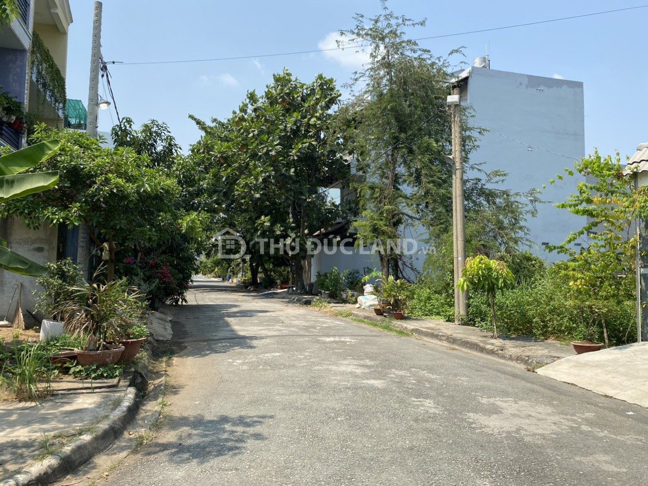 Bán đất mặt tiền Phú Hữu, 5m x 22m (110 m²) đường 12m – phù hợp ở thực, gần KDC và tiện ích - Ảnh 3