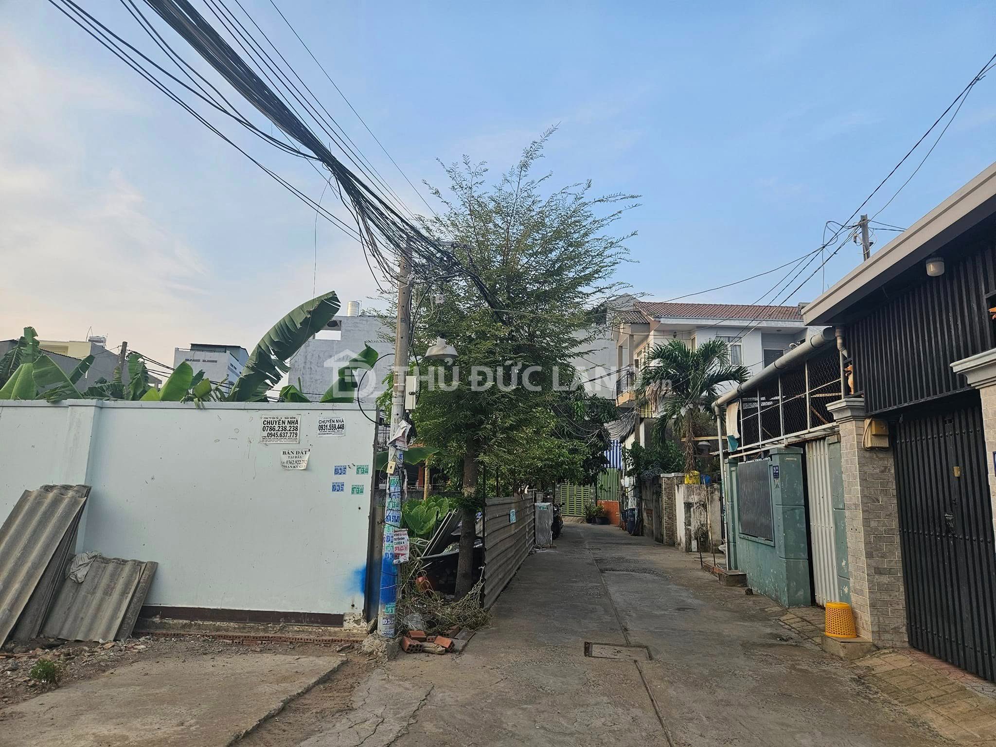Bán đất hẻm Đường 397, Phước Long B - Sổ hồng riêng, 62.8m² (~4.2 tỷ) - Ảnh 2