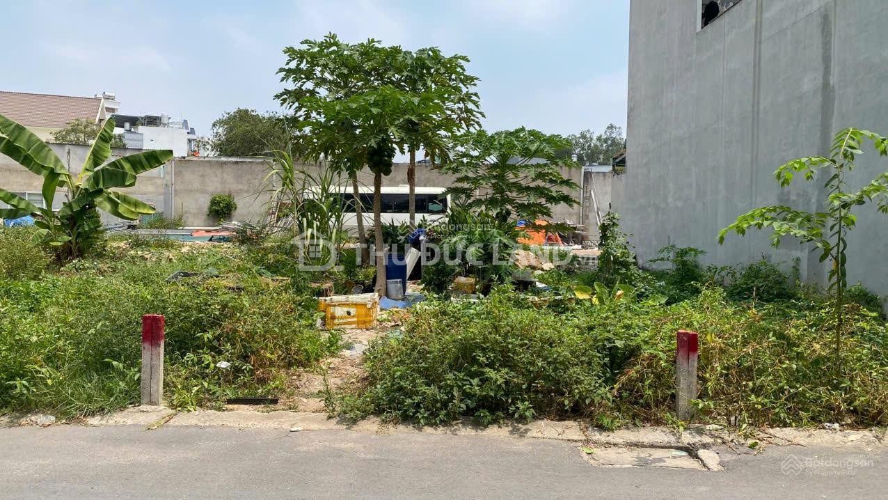 Bán đất hẻm Phước Long B, Đường 339 – 85.7m² ngang 5.3m, hẻm xe hơi, khu dân cư hiện hữu - Ảnh 5