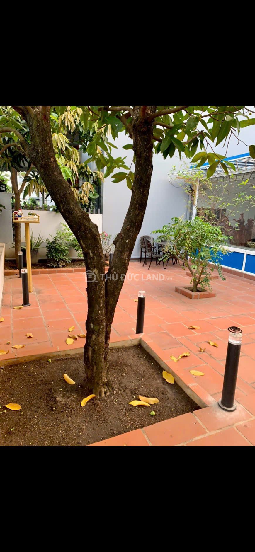 Bán đất mặt tiền đường 8, Phước Long B (KDC Gia Hòa, đối diện công viên) – 200m², không gian thoáng - Ảnh 3