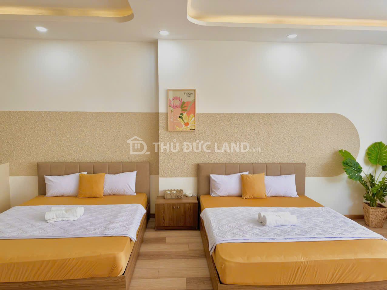 Bán khách sạn KDC Điền Phúc Thành Phước Long B, 4 tầng. Cạnh Liên Phường. Dòng tiền 128Tr/tháng - Ảnh 4