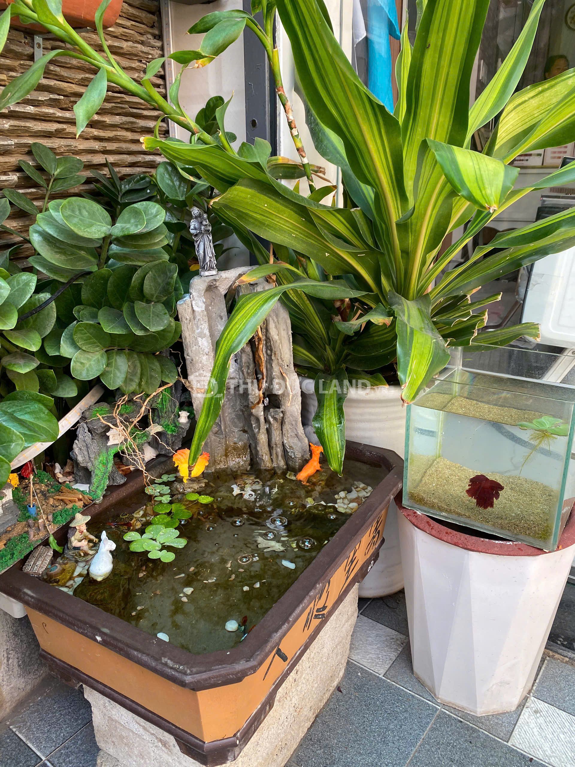 Bán nhà hẻm xe tải Đường 339 Phước Long B, sổ hồng riêng, giá 5.6 tỷ. Tiện ích đầy đủ 1KM - Ảnh 10