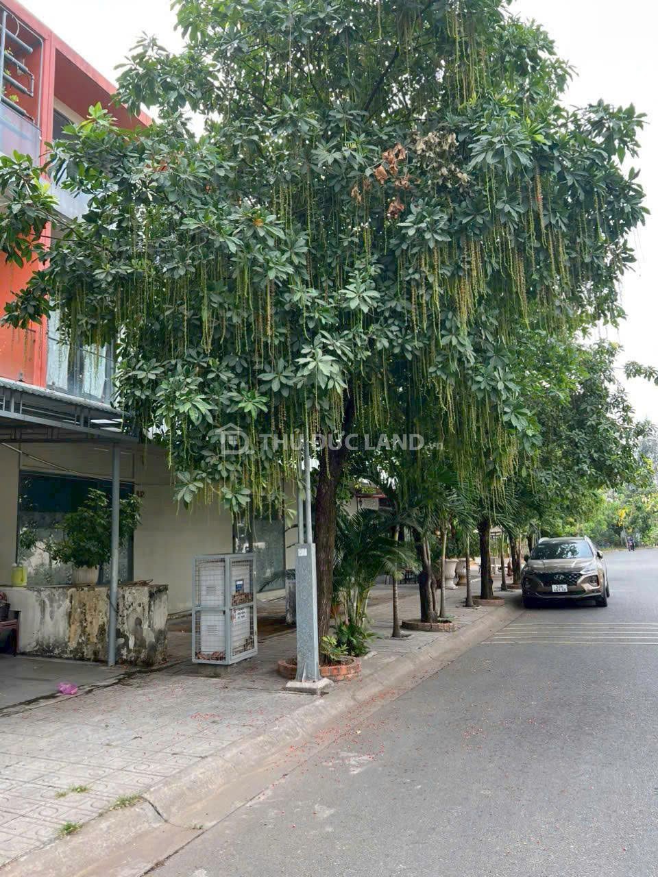 Bán nhà mặt tiền D15 KDC Hưng Phú, Phước Long B, 5x18m, đường 12m, 3 tầng, giá 15 tỷ - Ảnh 3