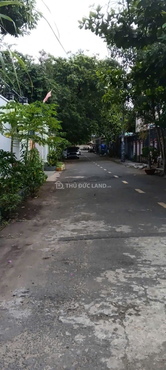 Bán đất hẻm đường 11, Tam Bình – diện tích 61.1 m², mặt tiền 4.98m, giá 75 triệu/m²