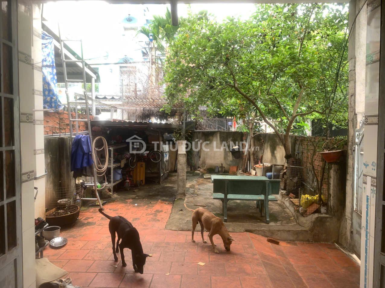 Bán nhà hẻm Tam Bình (Đường 12) 2 tầng, hẻm 5m, gần chợ và trường học—đủ diện tích cho gia đình ở - Ảnh 3