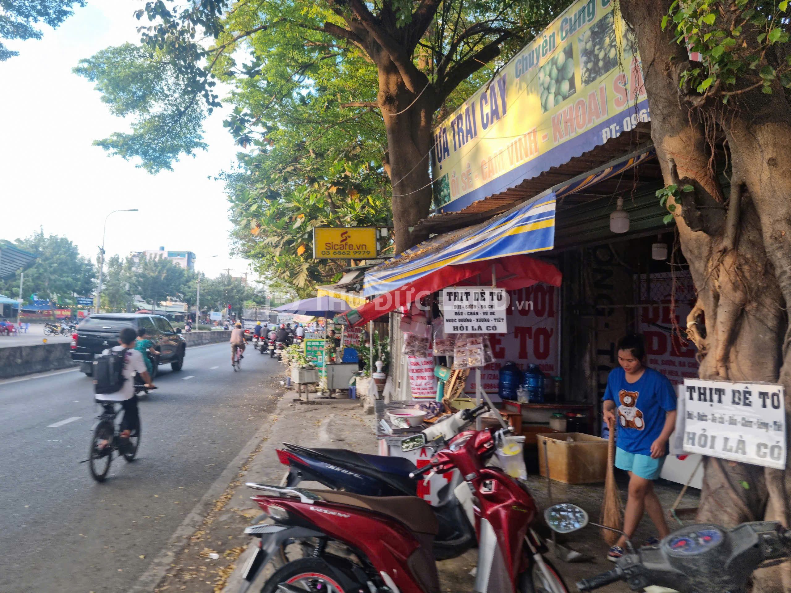 Bán nhà mặt tiền Tam Bình đường Tỉnh Lộ 43, DT 293m2, ngang 12m, có dòng tiền thuê 50 triệu/tháng - Ảnh 3