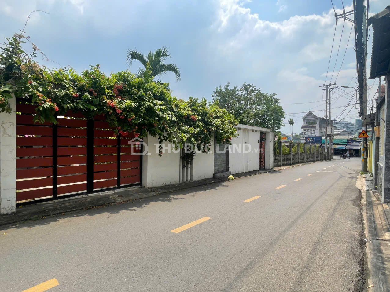 BÁN NHÀ VƯỜN 442M2 - MẶT TIỀN NGANG 17,3M ĐƯỜNG SỐ 8, PHƯỜNG TAM PHÚ - Ảnh 3