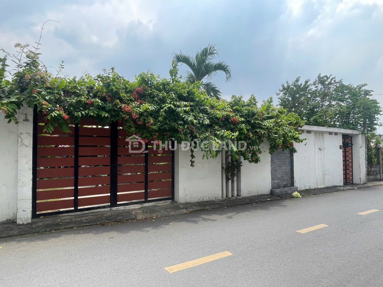 BÁN NHÀ VƯỜN 442M2 - MẶT TIỀN NGANG 17,3M ĐƯỜNG SỐ 8, PHƯỜNG TAM PHÚ - Ảnh 4