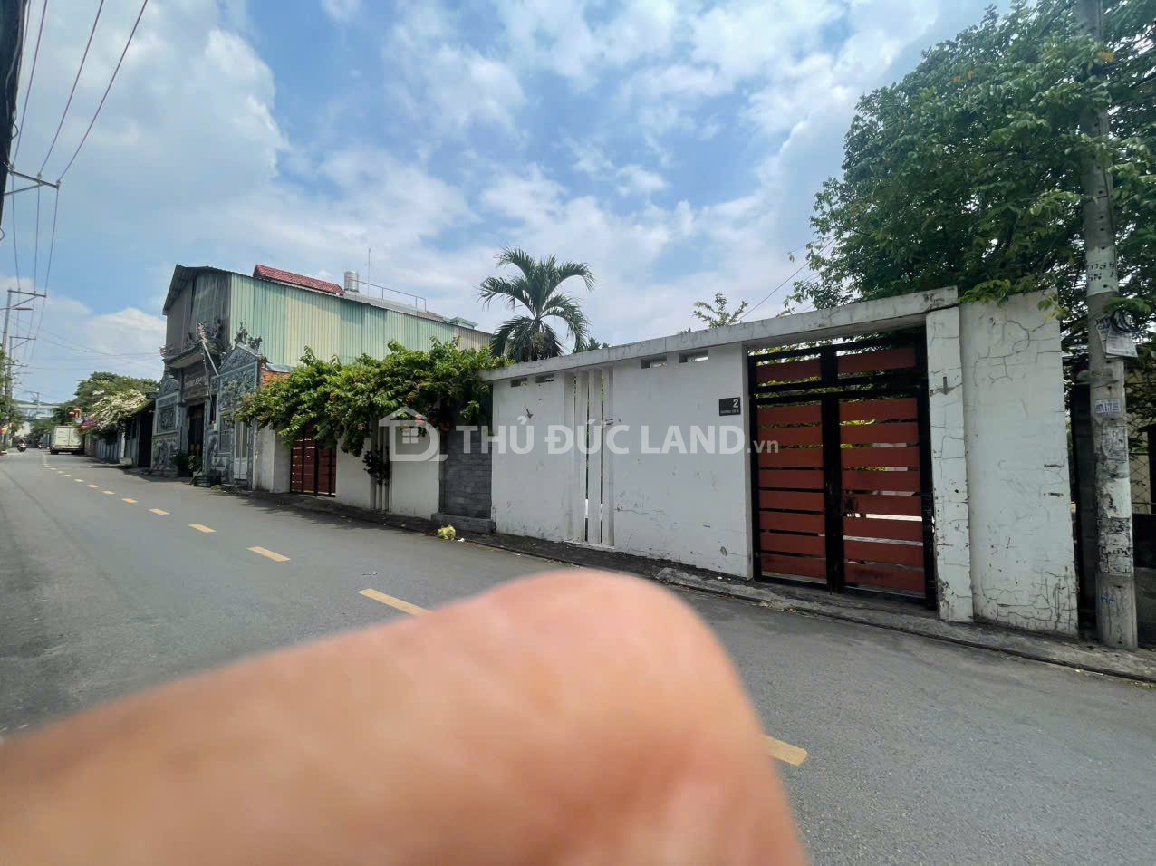 BÁN NHÀ VƯỜN 442M2 - MẶT TIỀN NGANG 17,3M ĐƯỜNG SỐ 8, PHƯỜNG TAM PHÚ - Ảnh 5