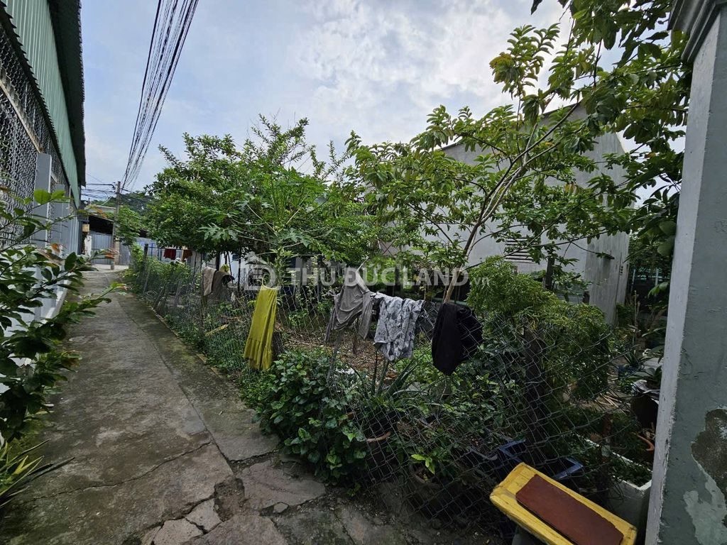 Bán đất HXH đường 138 Tân Phú, ngang 6.95m, diện tích 155.7m², cạnh trường học các cấp, chợ - Ảnh 2