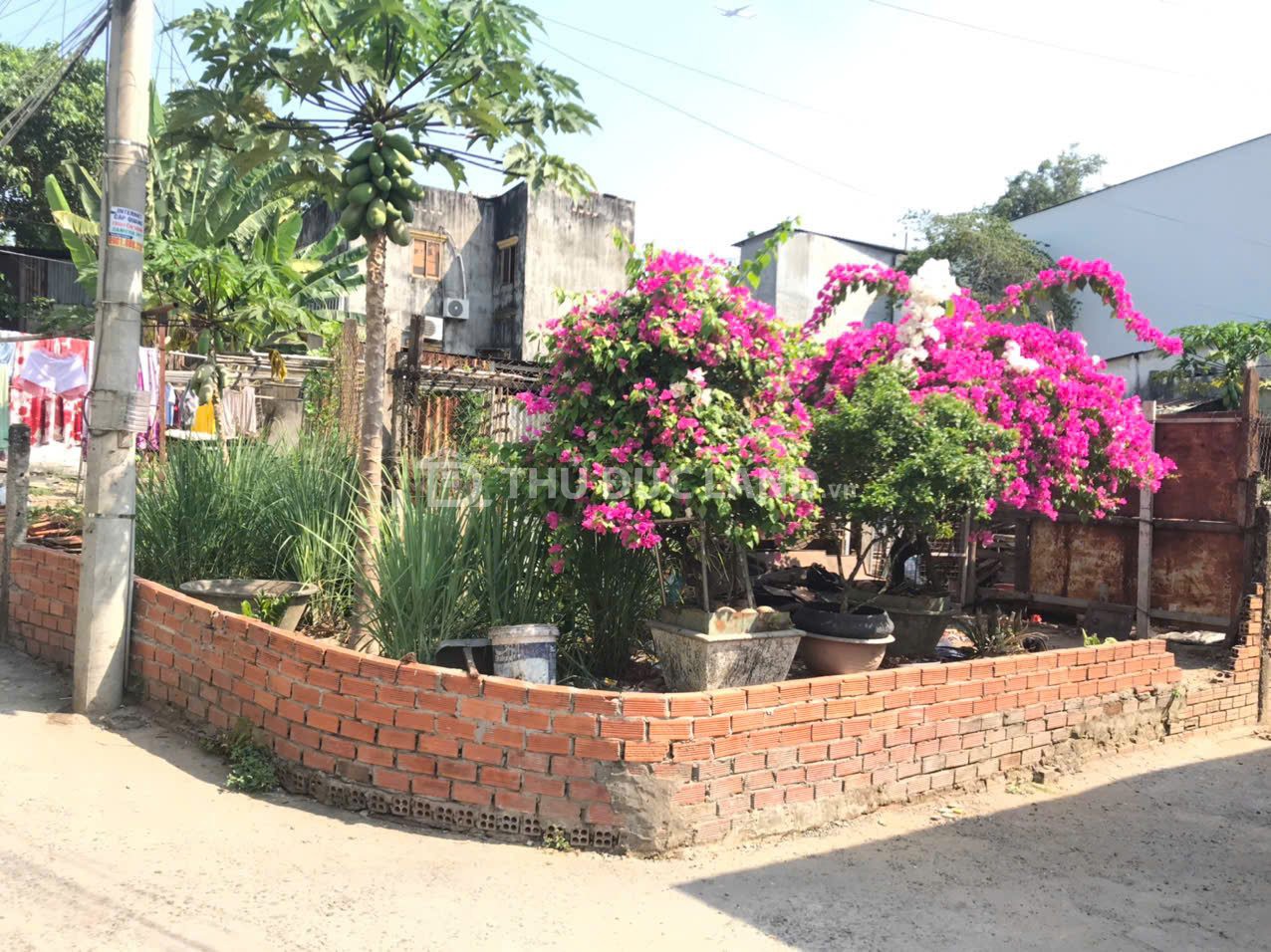 Bán đất hẻm Song Hành – Xa Lộ Hà Nội, Tân Phú 225.3m² (mặt tiền 15.28m) giá tốt - Ảnh 4