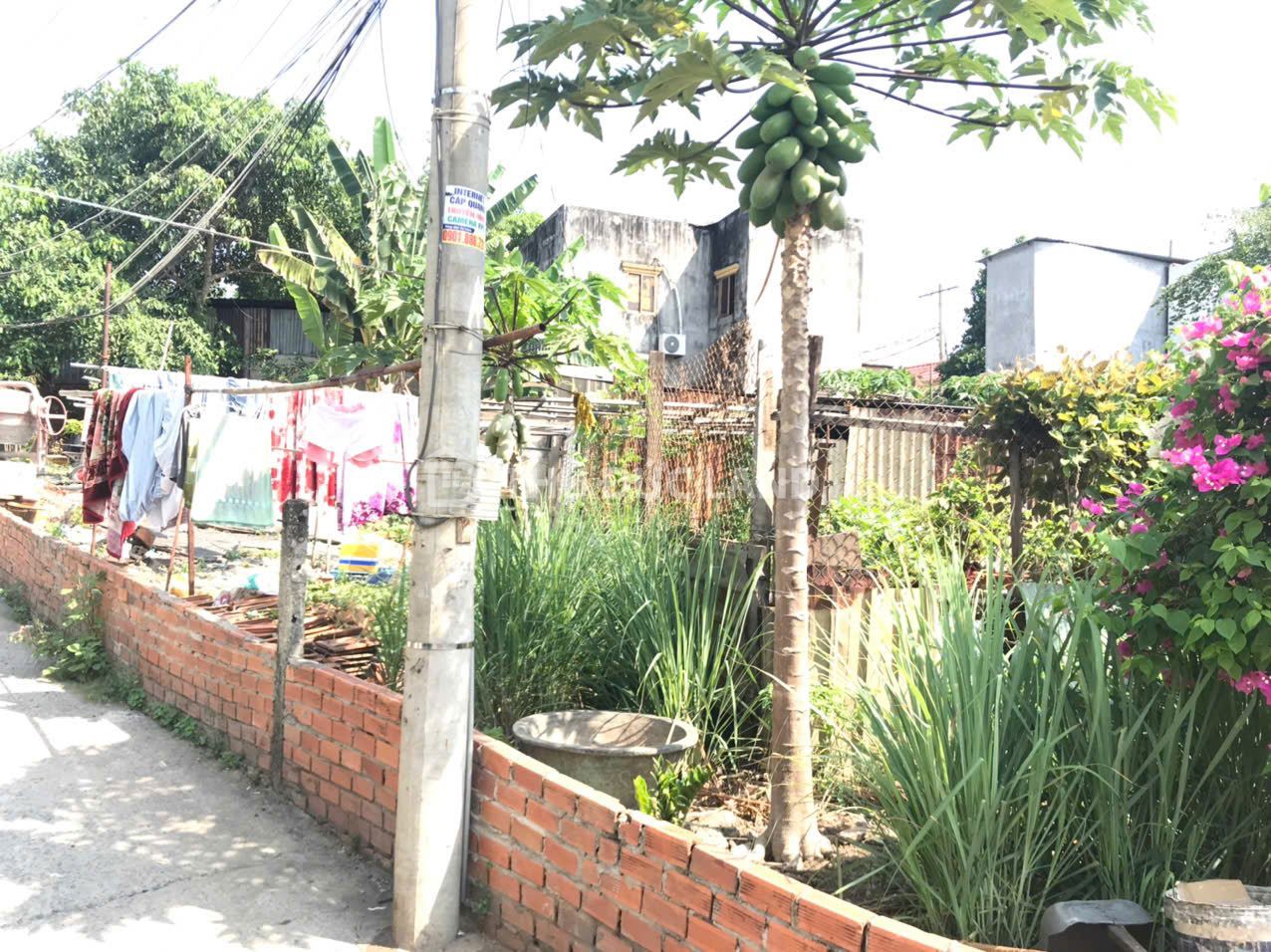 Bán đất hẻm Song Hành – Xa Lộ Hà Nội, Tân Phú 225.3m² (mặt tiền 15.28m) giá tốt - Ảnh 3