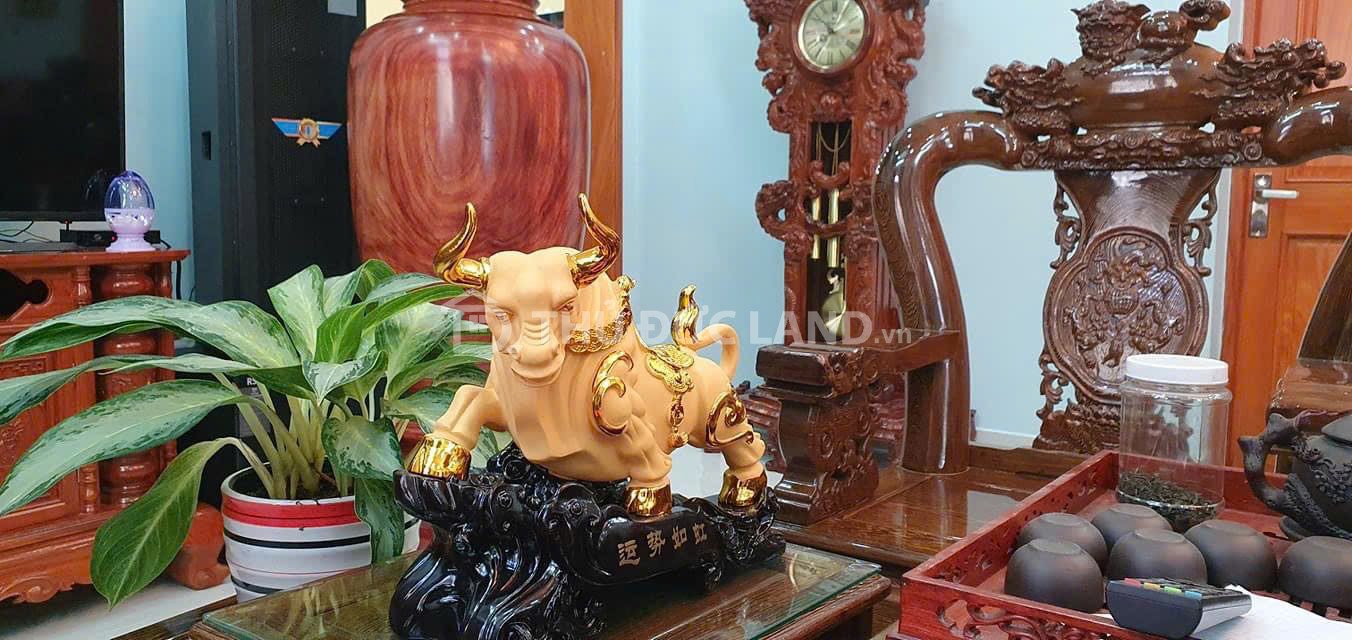 Bán căn hộ dịch vụ Tăng Nhơn Phú A, Lã Xuân Oai, DT 236M2 ngang 15m, khoán 70 triệu/tháng. - Ảnh 6