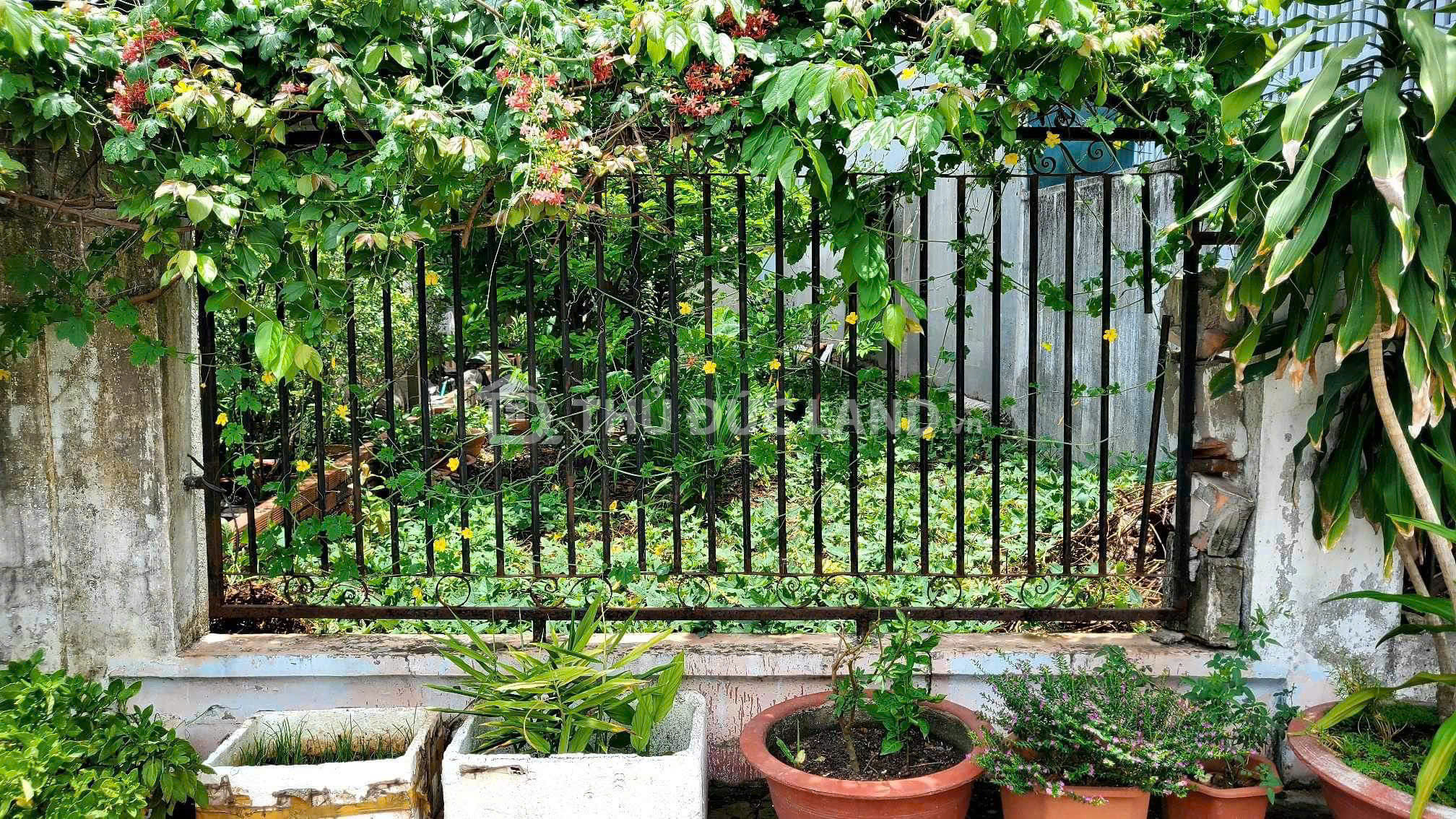 Bán nhà mặt tiền Đường 160 Tăng Nhơn Phú A, DT 74m2 ngang 4m, Tiện ích bao vây - Ảnh 4