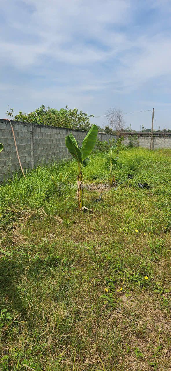 Bán đất hẻm Đình Phong Phú, Tăng Nhơn Phú B, DT 640m2 ngang 17m, đường 6m, sổ hồng riêng