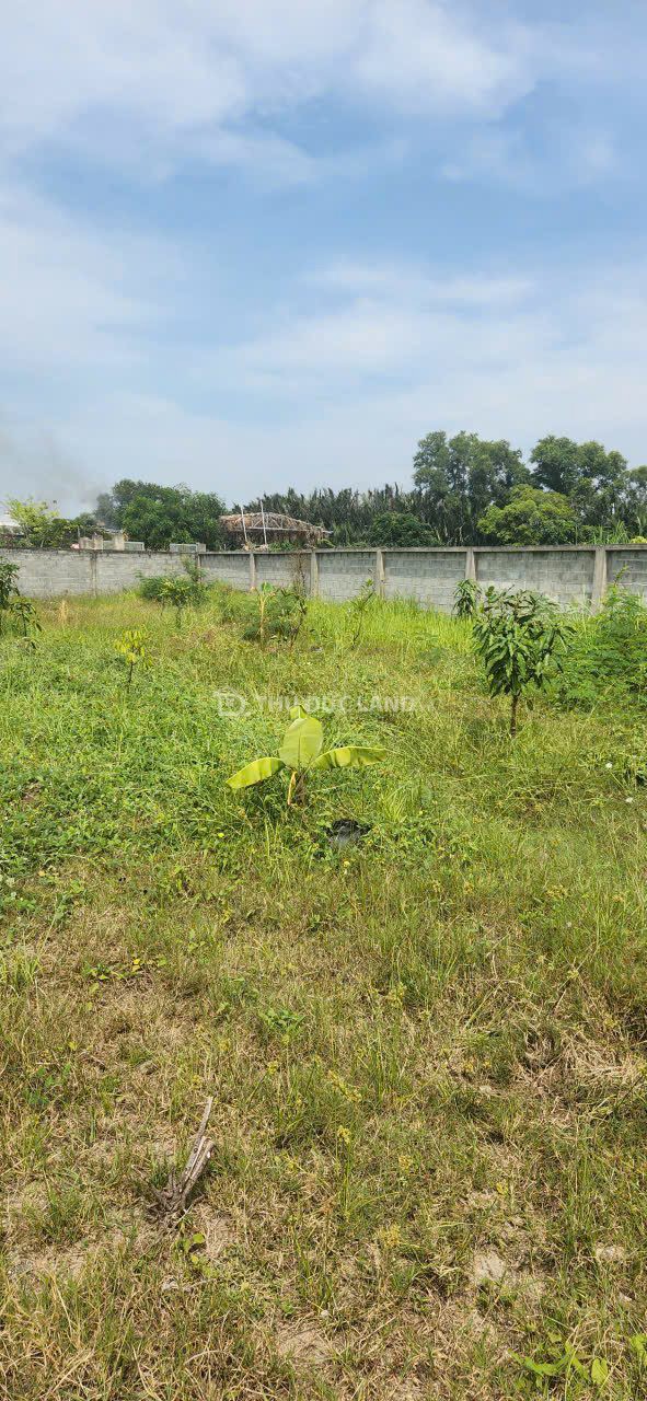 Bán đất hẻm Đình Phong Phú, Tăng Nhơn Phú B, DT 640m2 ngang 17m, đường 6m, sổ hồng riêng - Ảnh 2