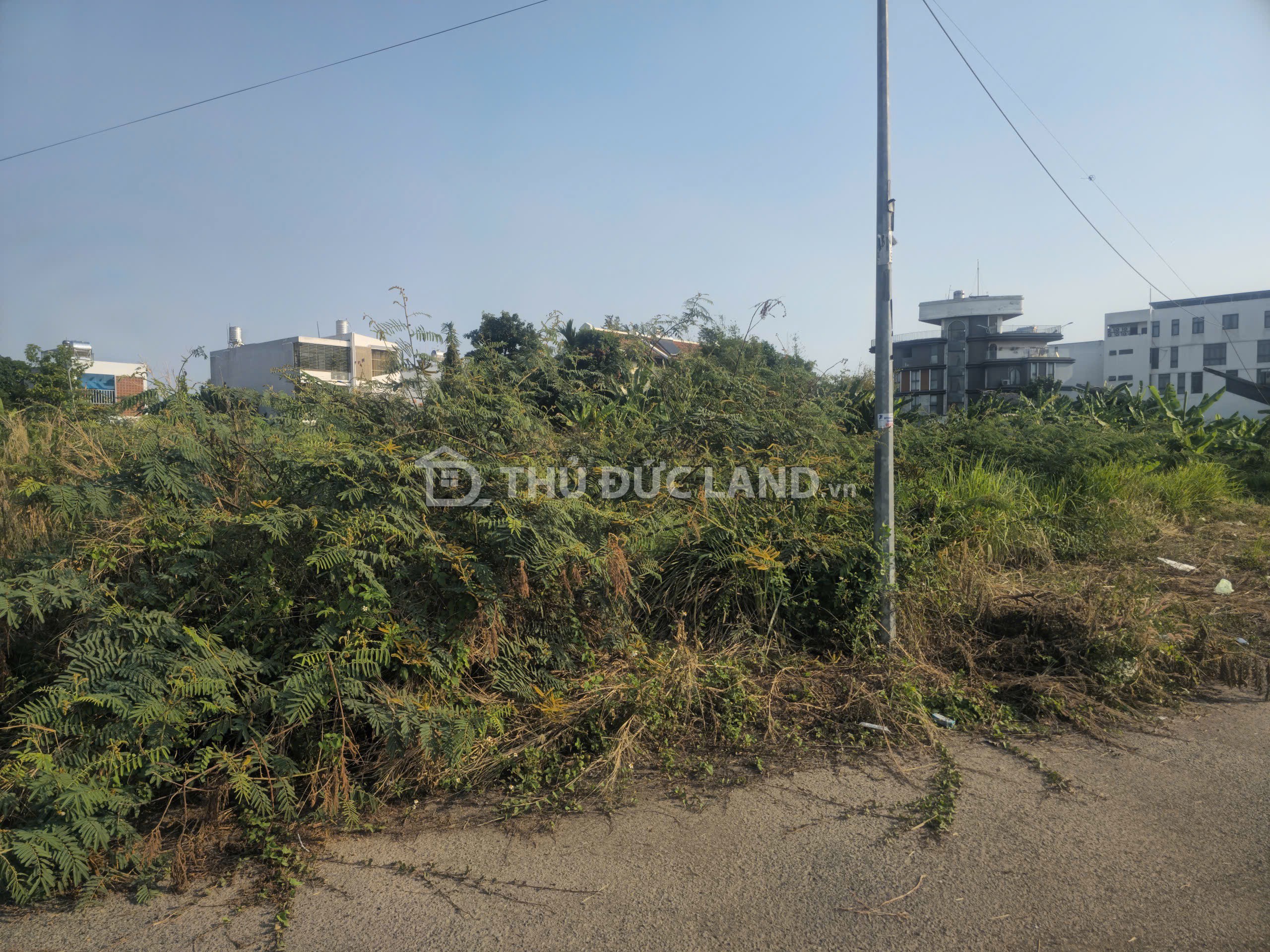 Bán đất mặt tiền Đường 8 Trường Thạnh, DT 486n2 ngang 15m, đường 12m, giá tốt - Ảnh 6
