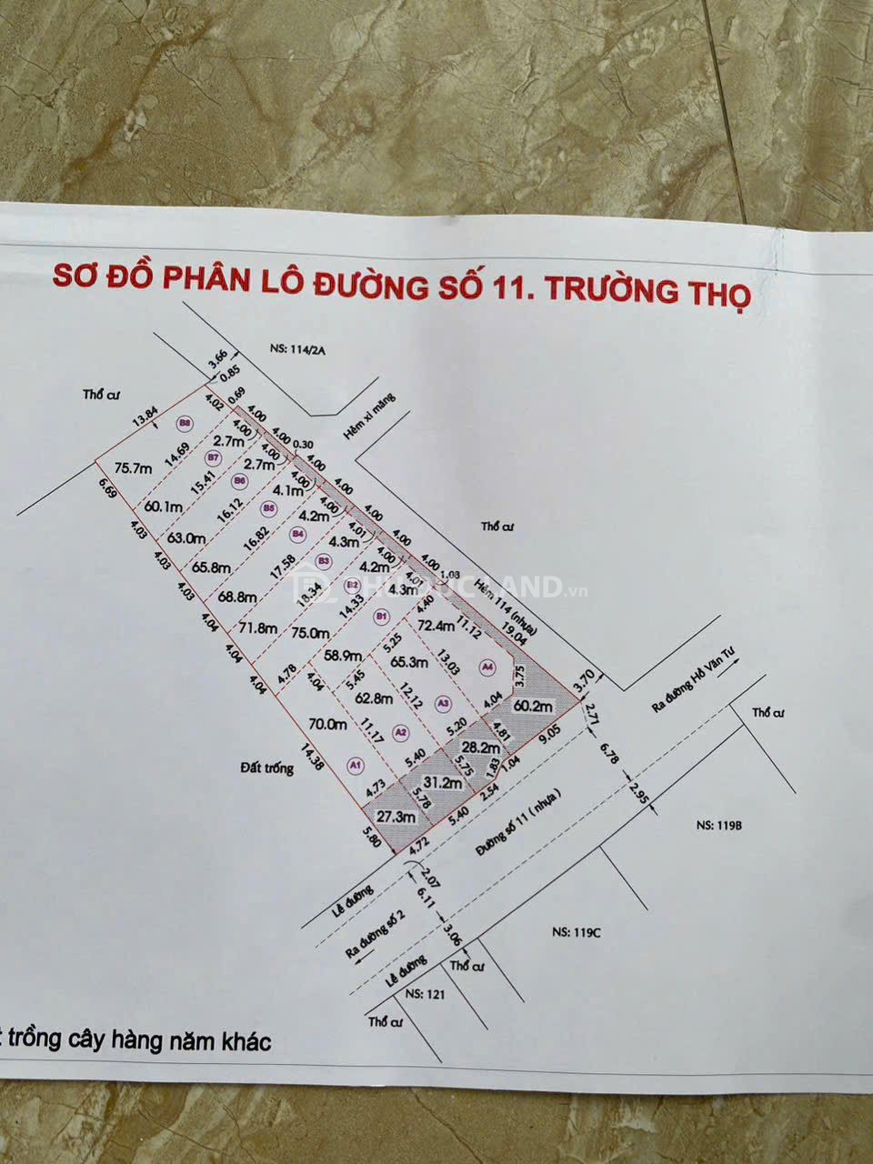 Bán đất HXH Đường 11 Trường Thọ, DT 63.2m2 ngang 4m, cạnh Vành Đai 2, phân lô đồng bộ - Ảnh 2