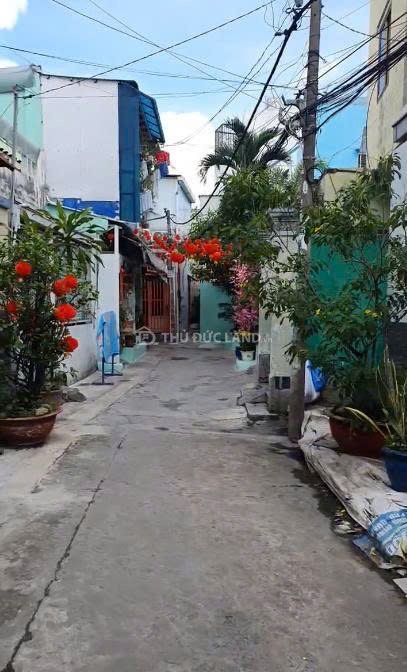 Bán đất hẻm Trường Thọ (Đường 10) 64.4m², ngay chợ Thủ Đức - Ảnh 2