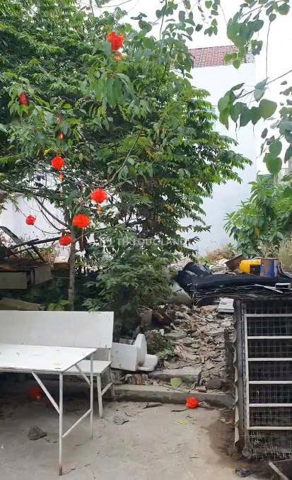 Bán đất hẻm Trường Thọ (Đường 10) 64.4m², ngay chợ Thủ Đức - Ảnh 3