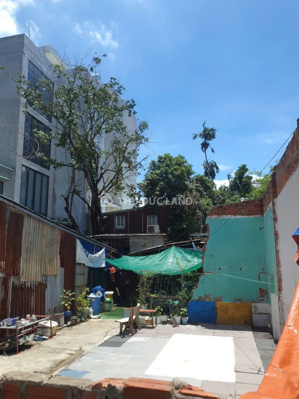 Đường 11, Trường Thọ - Ảnh 2