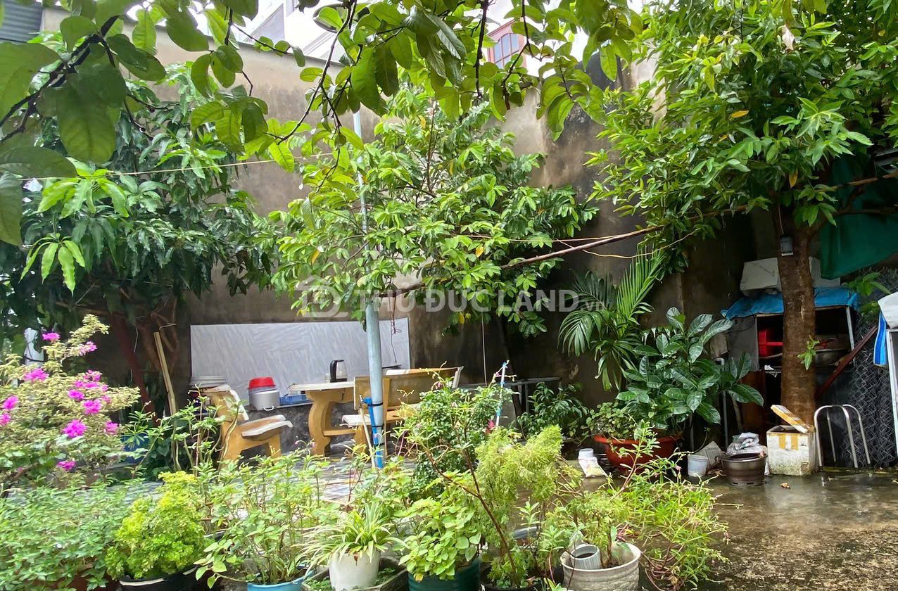 Bán nhà HXH Đường 9 Trường Thọ, 70.1m², cách 100m ra Đặng Văn Bi, cho thuê 8.5 triệu. - Ảnh 6